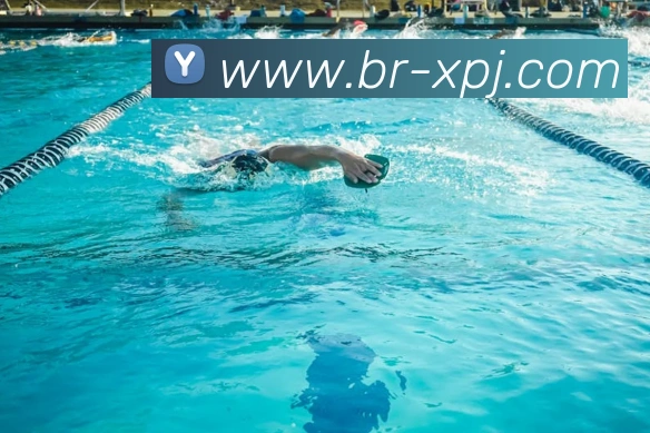 澳门新葡京娱乐APP 高清赛事图